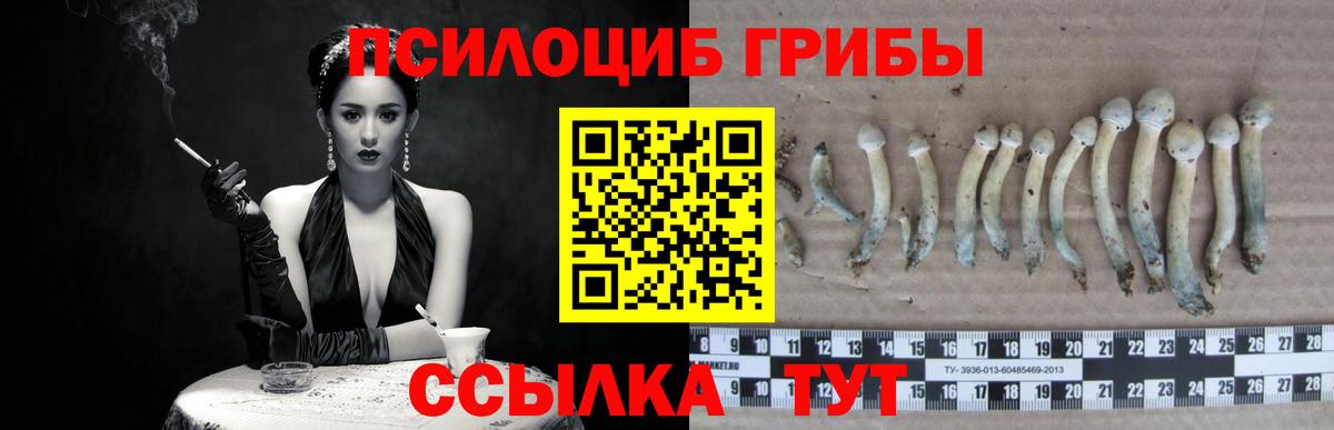 Псилоцибиновые грибы Magic Shrooms  Вход с VPN  Стрежевой 